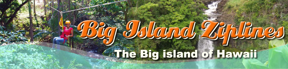 Botanical World Adventures
